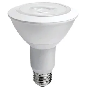 PAR30 LED 8W 120 V 5500K LUZ FRIA
