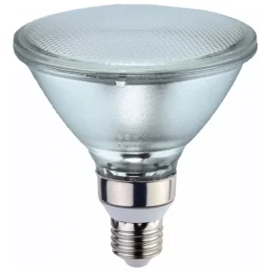 PAR 38 23 W
