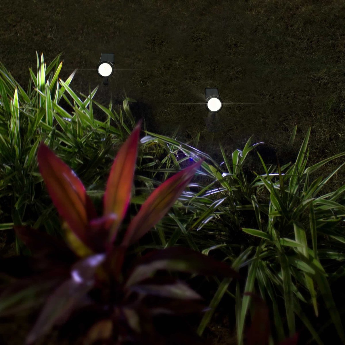 Farol LED 0.07W Solar Luz Fresca - Imagen 6