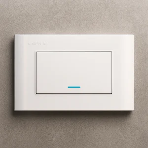 Interruptor sencillo Blanco Carpinter A11